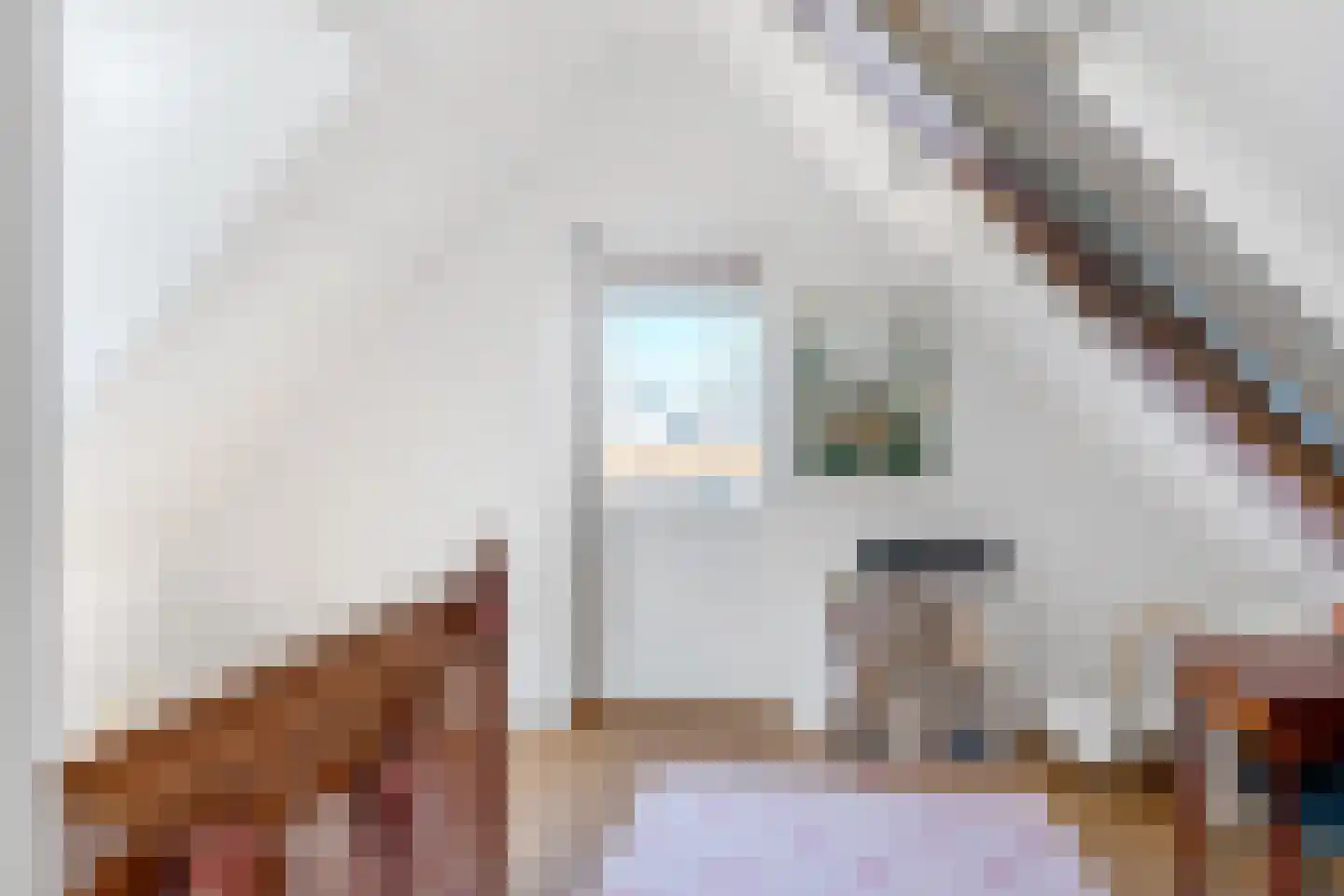 Jacob Catsstraat 45 Rotterdam thumbnail 33