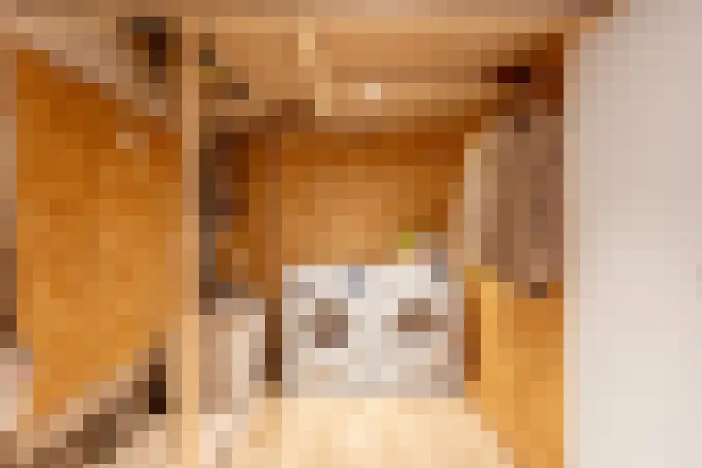 Jacob Catsstraat 45 Rotterdam thumbnail 43