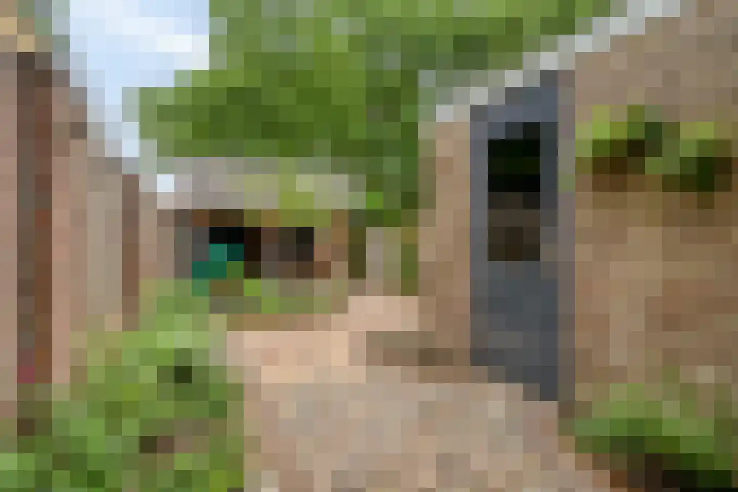 Jacob Catsstraat 46 Barneveld thumbnail 27