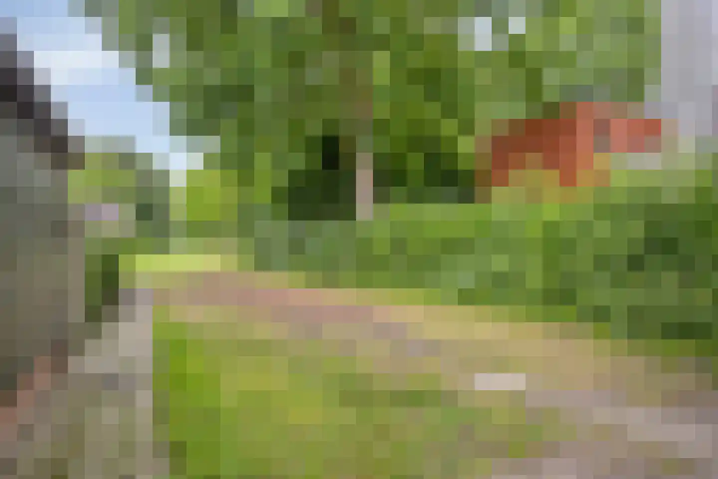 Jacob Catsstraat 46 Barneveld thumbnail 35