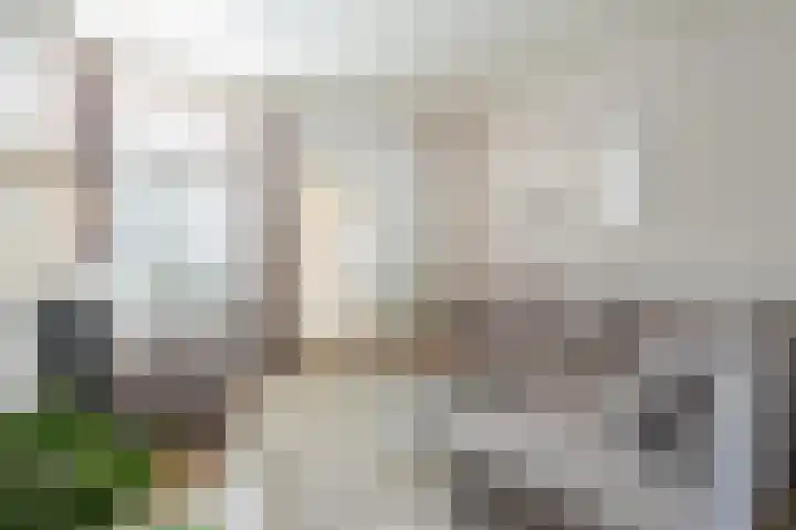 Jacob Catsstraat 48 Dordrecht thumbnail 6