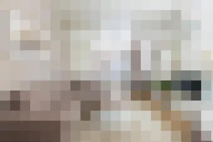 Jacob Catsstraat 48 Dordrecht thumbnail 8