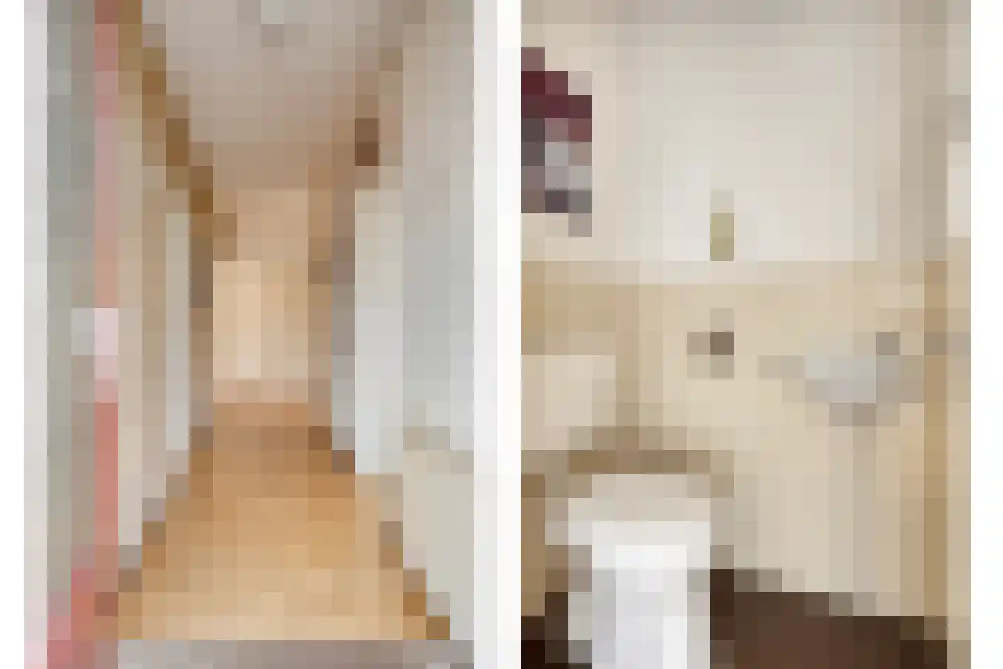 Jacob Catsstraat 5 Kesteren thumbnail 16