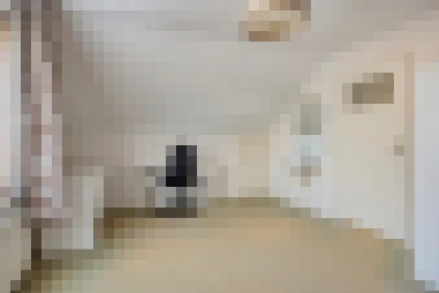 Jacob Catsstraat 5 Kesteren thumbnail 20