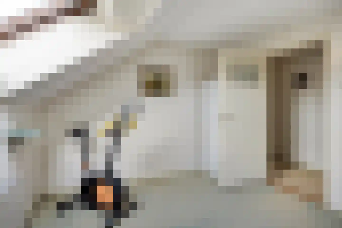 Jacob Catsstraat 5 Kesteren thumbnail 22