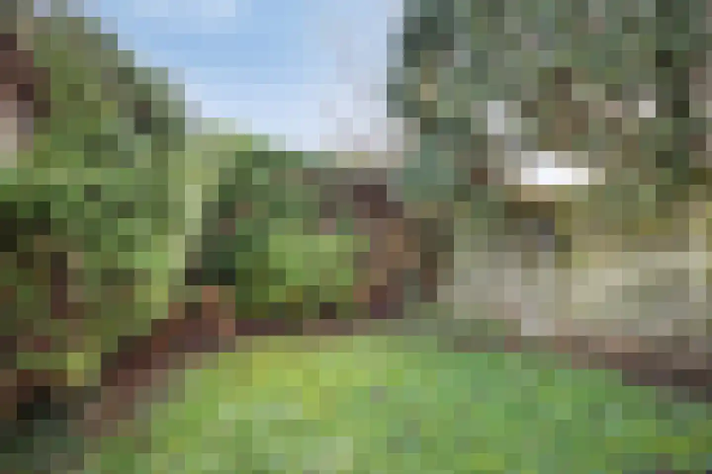 Jacob Catsstraat 5 Kesteren thumbnail 26