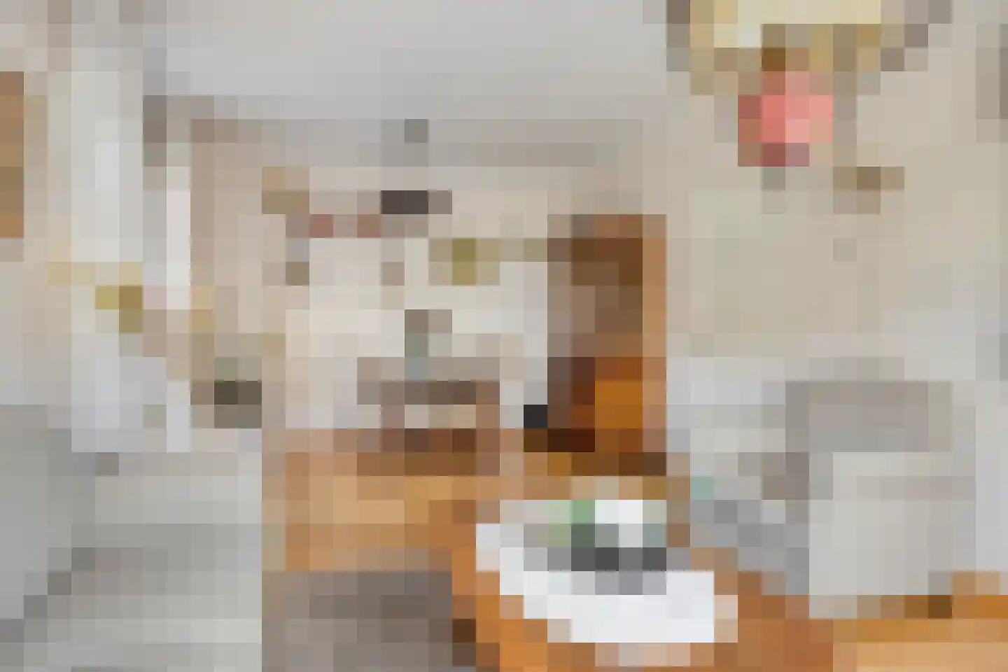 Jacob Catsstraat 5 Kesteren thumbnail 4