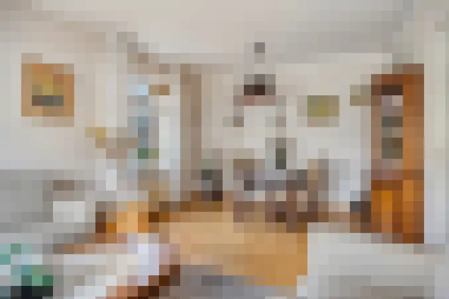 Jacob Catsstraat 5 Kesteren thumbnail 6