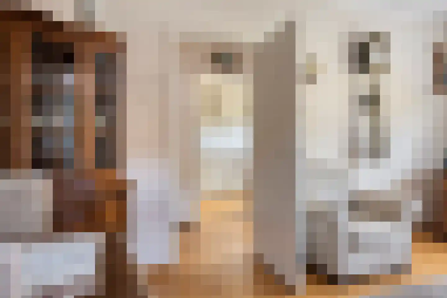Jacob Catsstraat 5 Kesteren thumbnail 7