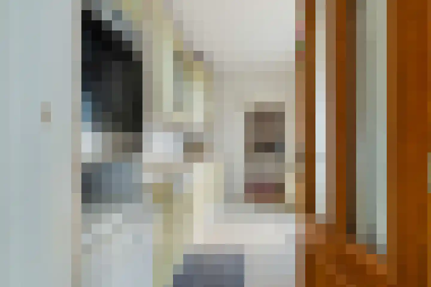 Jacob Catsstraat 5 Sliedrecht thumbnail 12