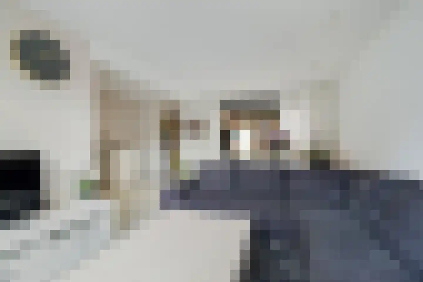 Jacob Catsstraat 5 Sliedrecht thumbnail 4