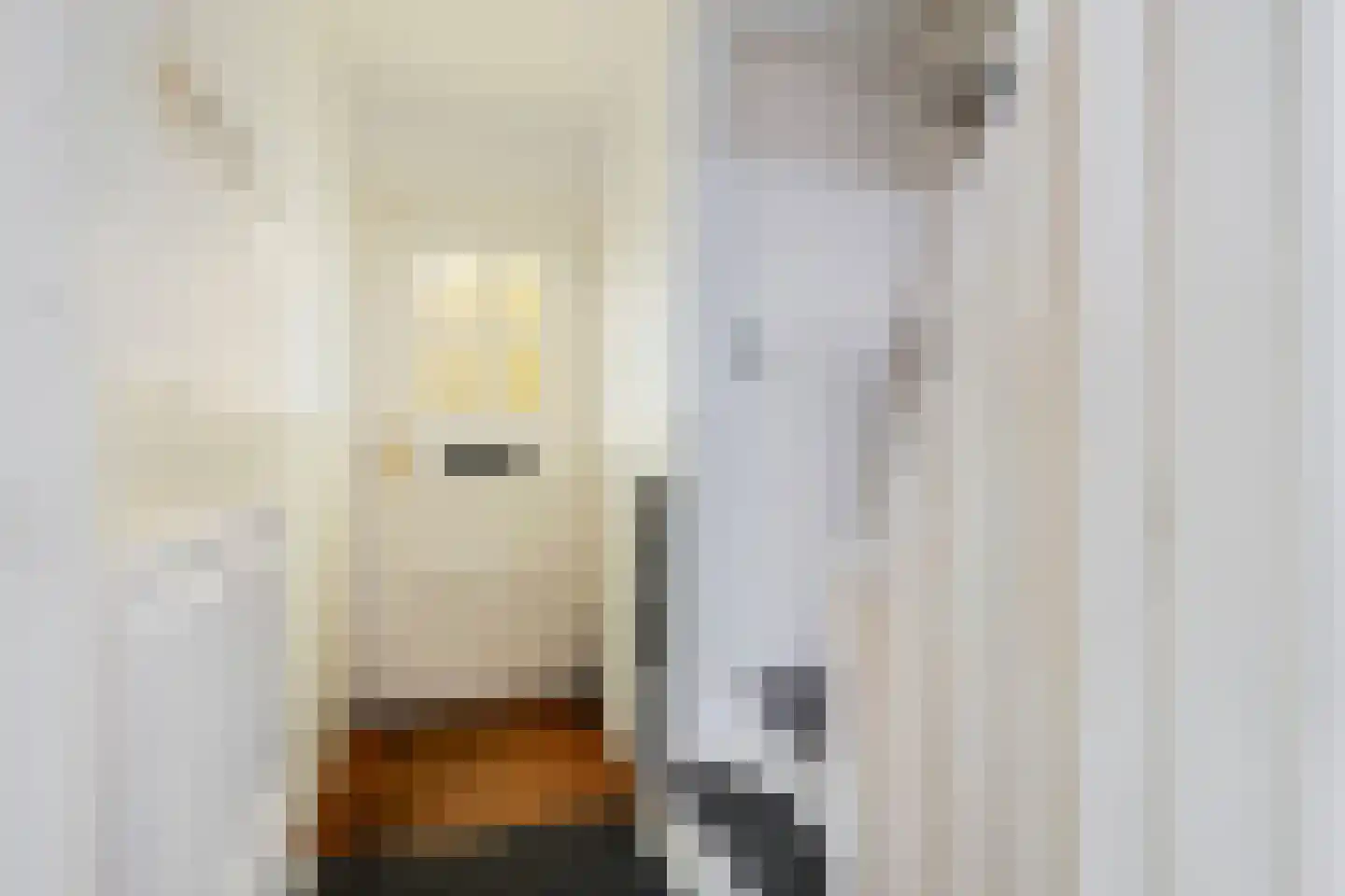 Jacob Catsstraat 5 Sliedrecht thumbnail 5