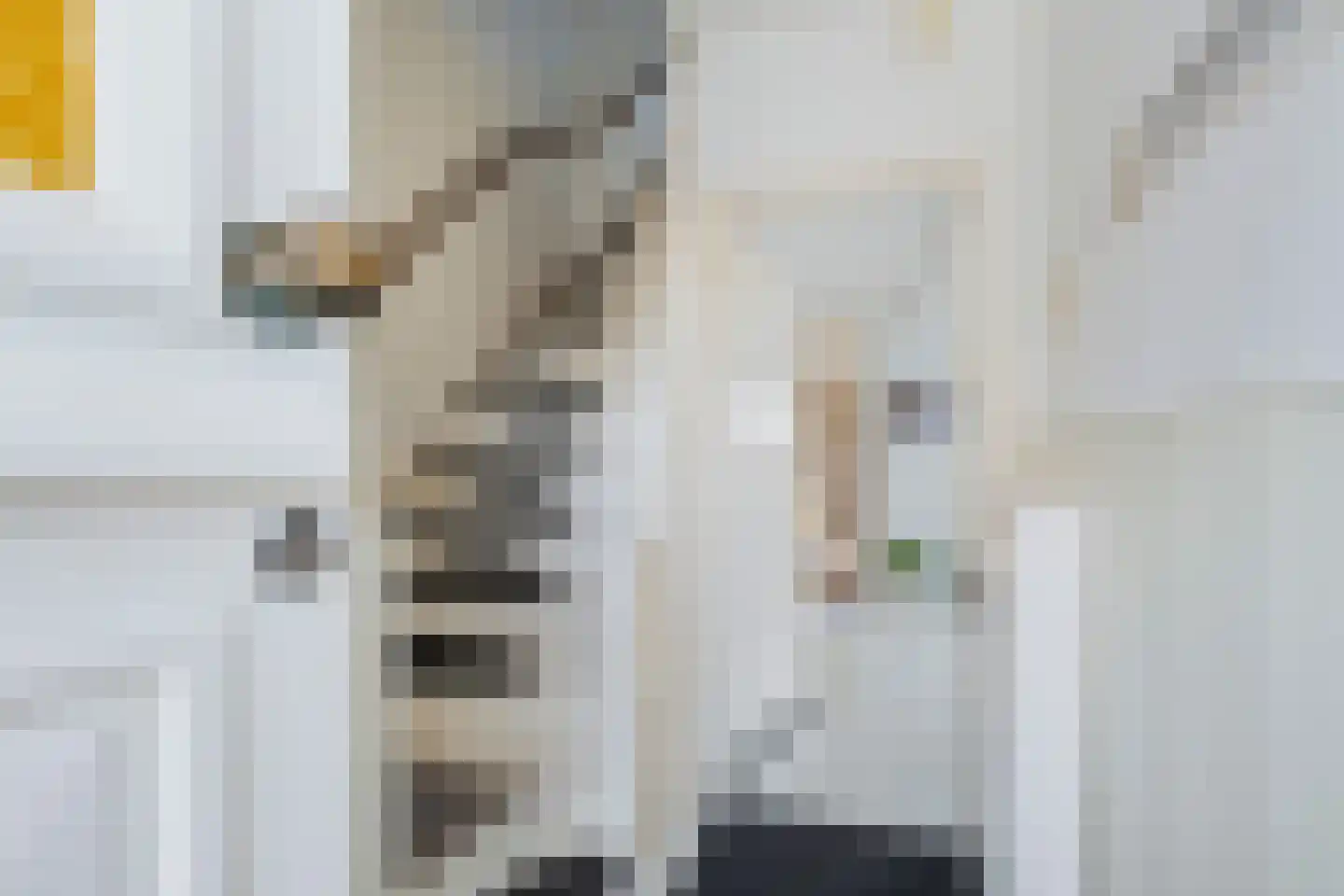 Jacob Catsstraat 5 Sliedrecht thumbnail 7