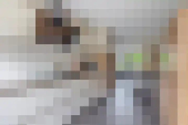 Jacob Catsstraat 53 Sommelsdijk thumbnail 14
