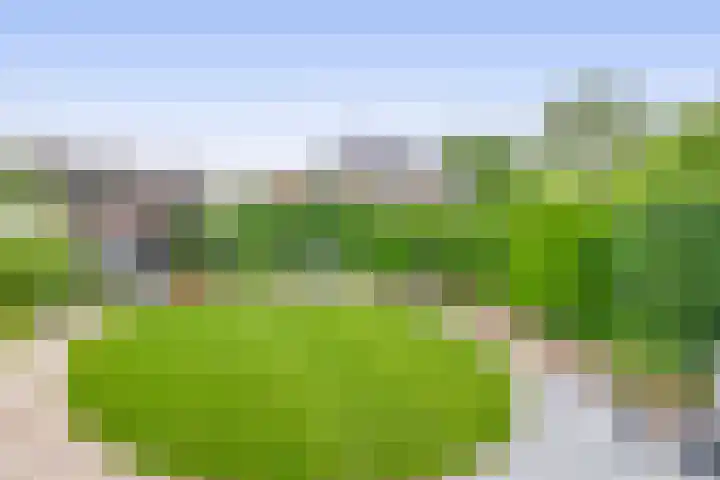 Jacob Catsstraat 53 Sommelsdijk thumbnail 31