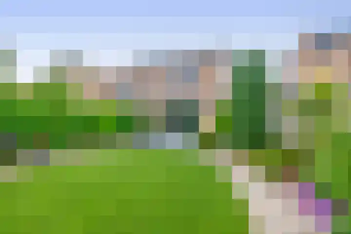 Jacob Catsstraat 53 Sommelsdijk thumbnail 34