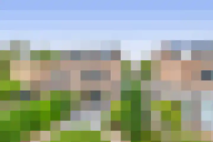 Jacob Catsstraat 53 Sommelsdijk thumbnail 35