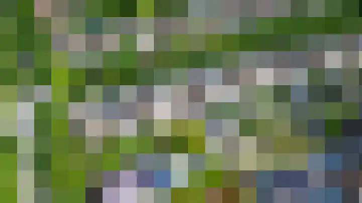 Jacob Catsstraat 53 Sommelsdijk thumbnail 38