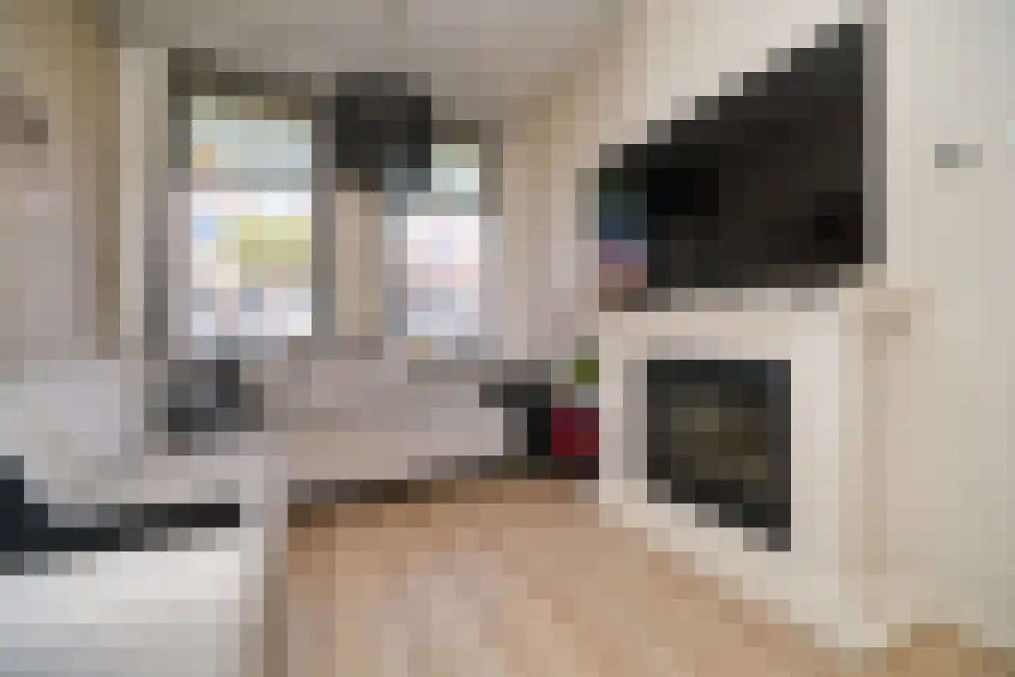 Jacob Catsstraat 54 Dordrecht thumbnail 7