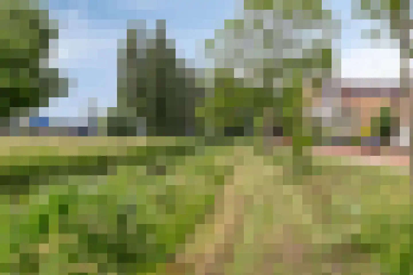 Jacob Catsstraat 56 A Spijkenisse thumbnail 19