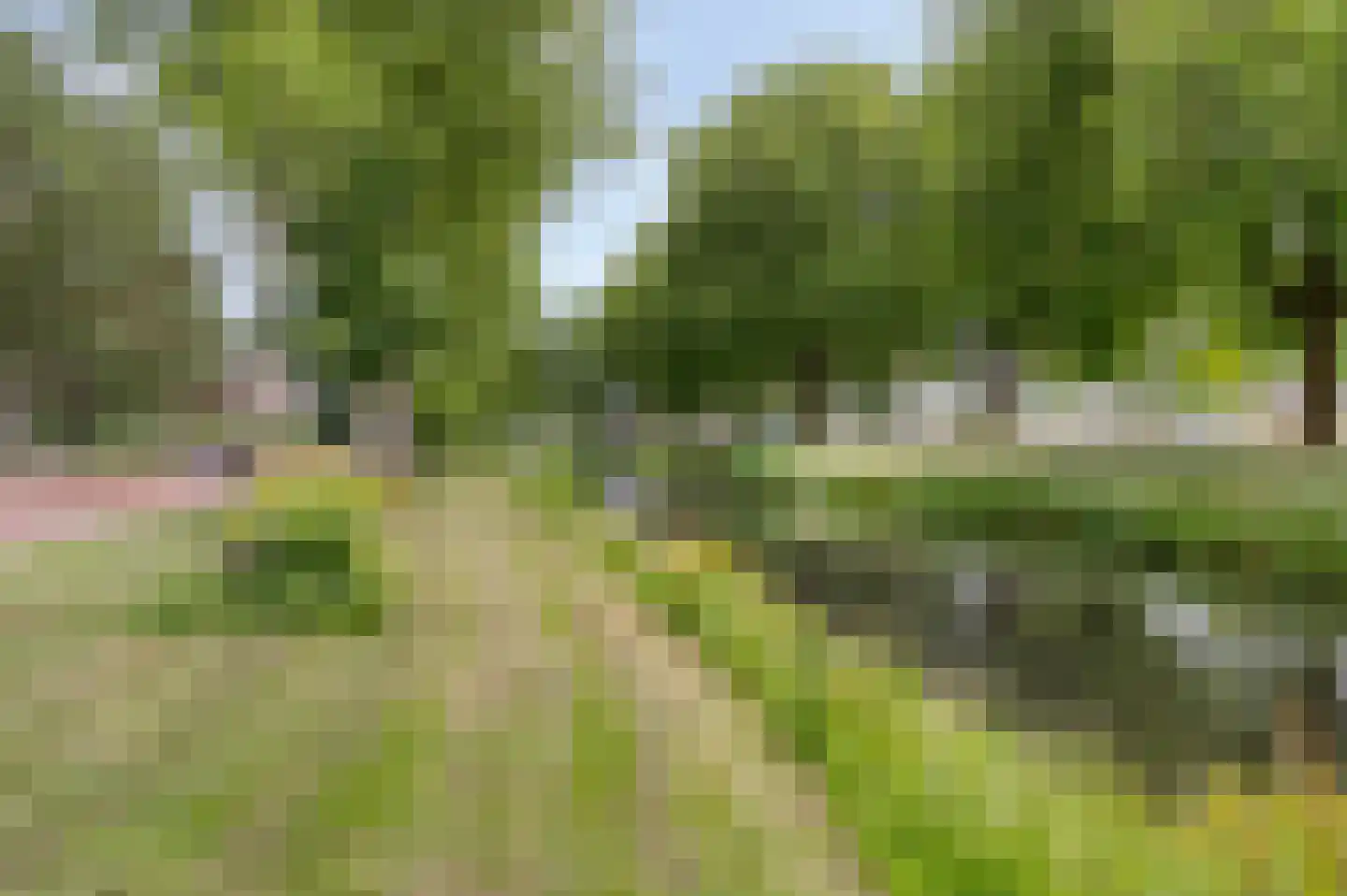 Jacob Catsstraat 56 A Spijkenisse thumbnail 20