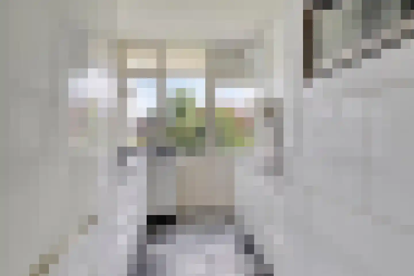 Jacob Catsstraat 56 A Spijkenisse thumbnail 4