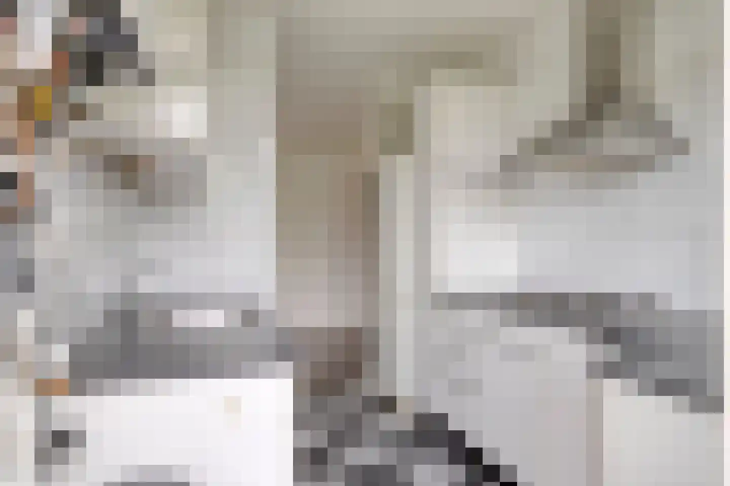 Jacob Catsstraat 56 A Spijkenisse thumbnail 5