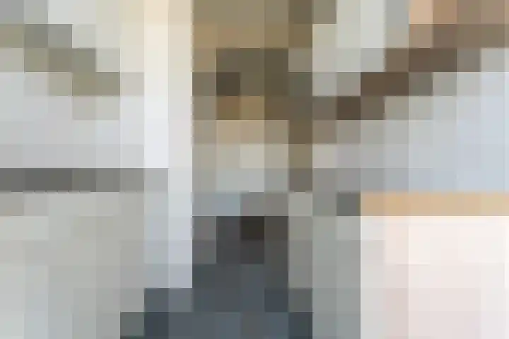 Jacob Catsstraat 56 C Spijkenisse thumbnail 7