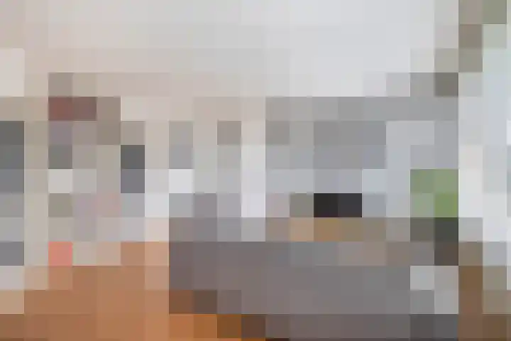 Jacob Catsstraat 56 Spijkenisse thumbnail 15