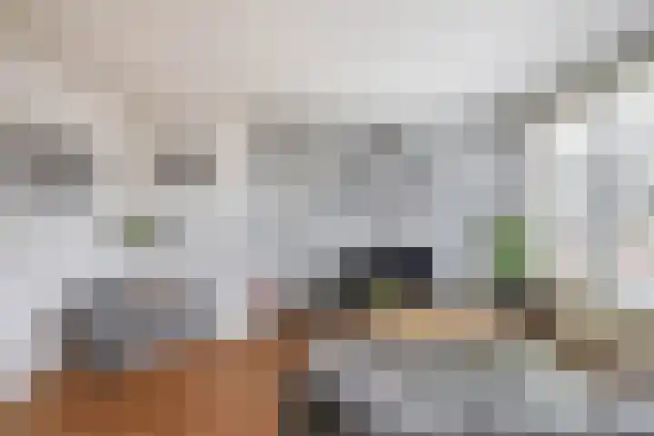 Jacob Catsstraat 56 Spijkenisse thumbnail 16