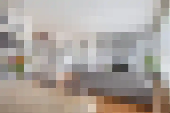Jacob Catsstraat 56 Spijkenisse thumbnail 17