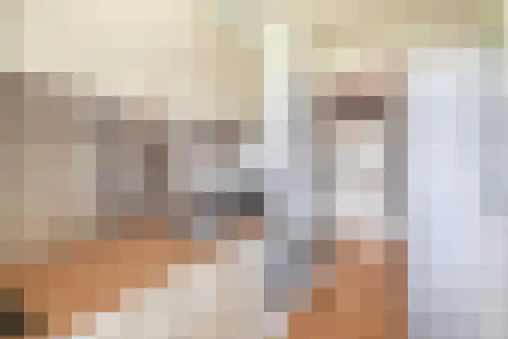 Jacob Catsstraat 56 Spijkenisse thumbnail 24