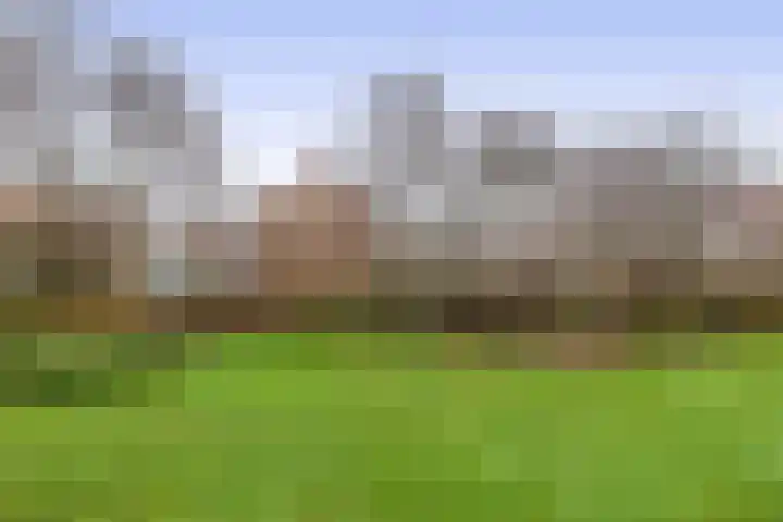 Jacob Catsstraat 56 Spijkenisse thumbnail 30