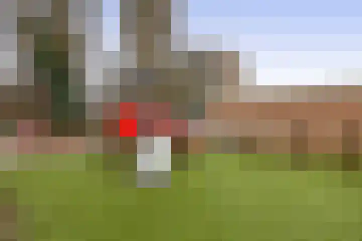 Jacob Catsstraat 56 Spijkenisse thumbnail 32