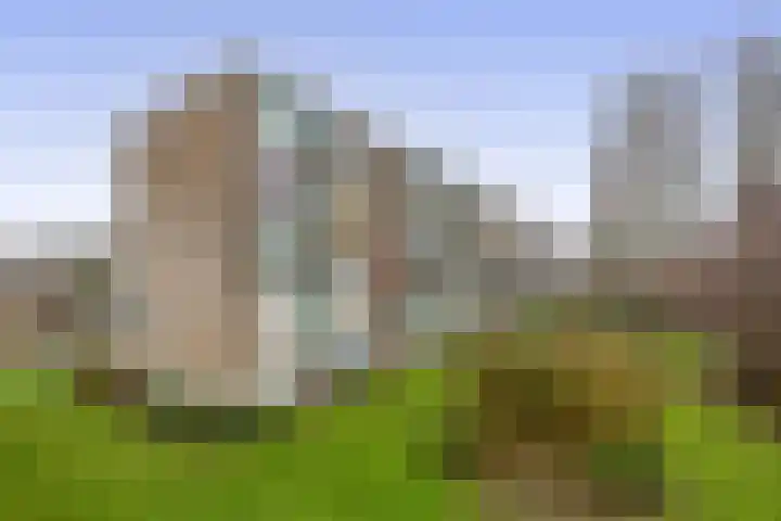 Jacob Catsstraat 56 Spijkenisse thumbnail 33