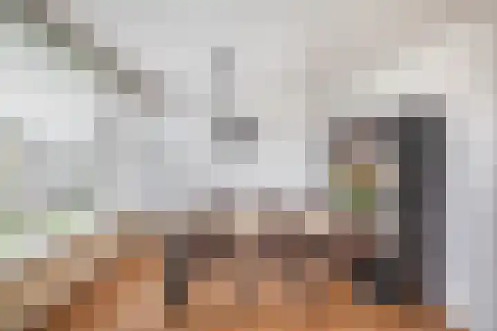Jacob Catsstraat 56 Spijkenisse thumbnail 4