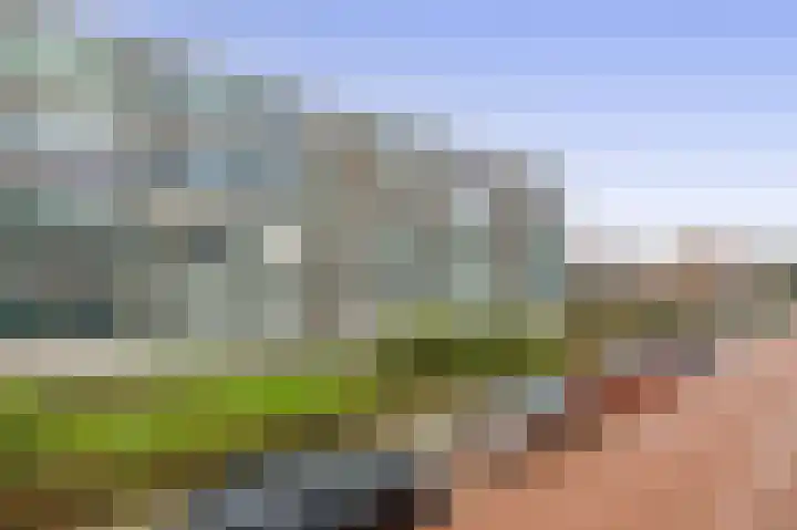 Jacob Catsstraat 56 Spijkenisse thumbnail 7