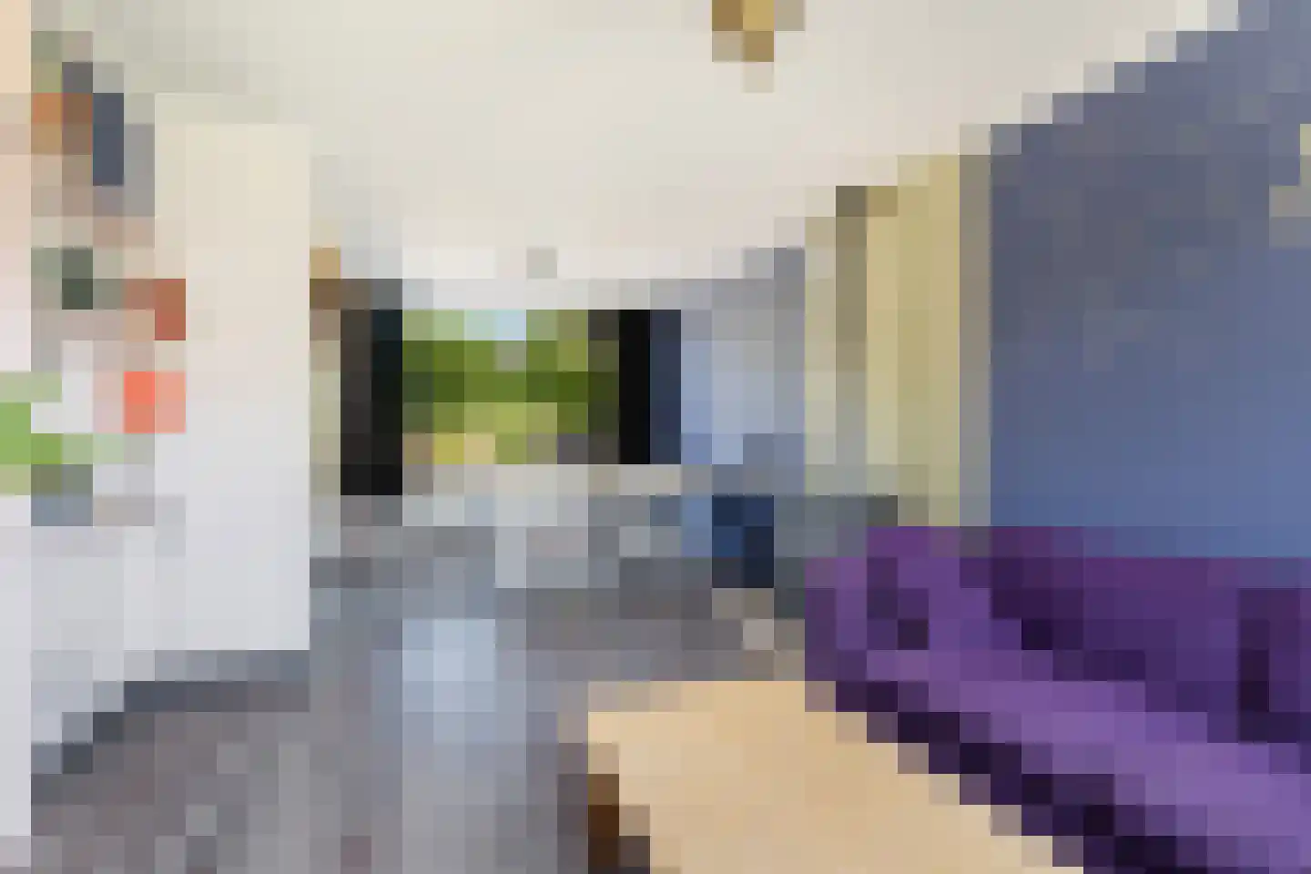 Jacob Catsstraat 6 Alphen aan den Rijn thumbnail 17