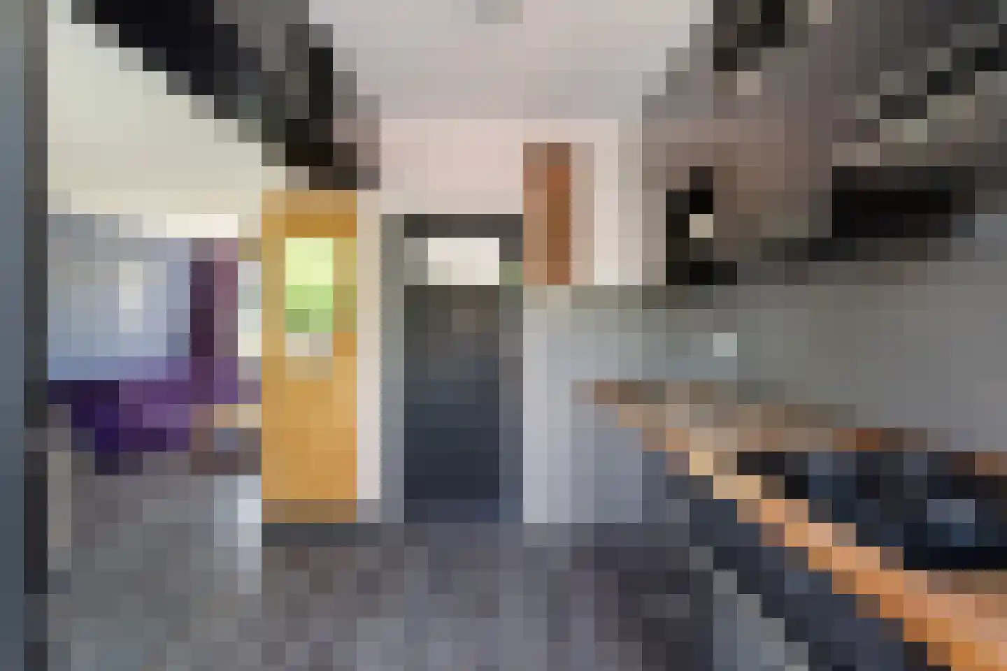 Jacob Catsstraat 6 Alphen aan den Rijn thumbnail 24