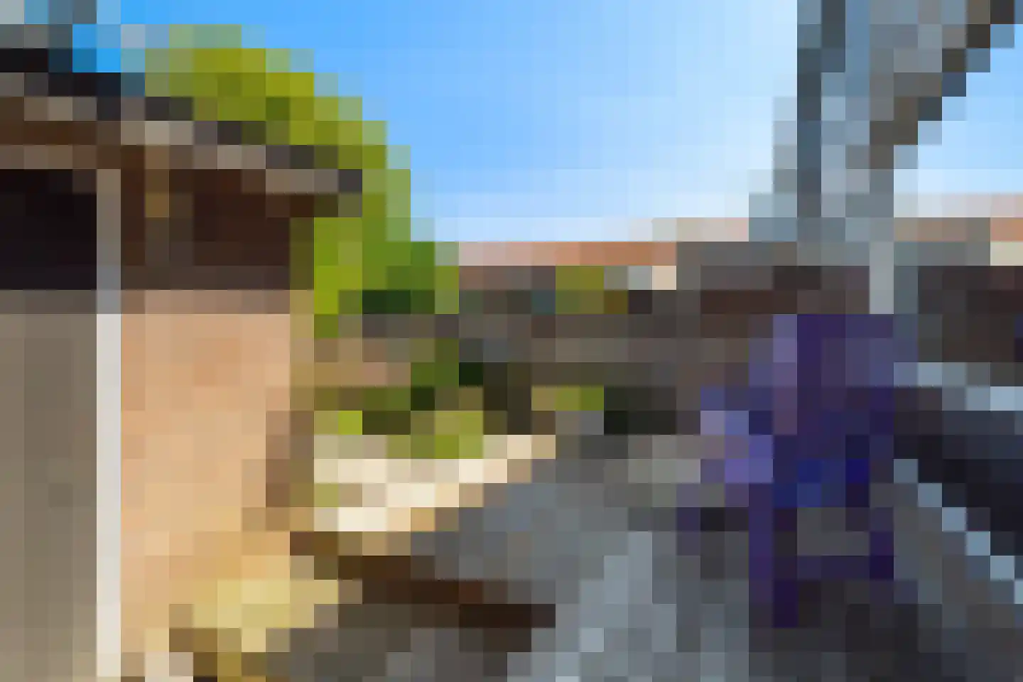 Jacob Catsstraat 6 Alphen aan den Rijn thumbnail 29