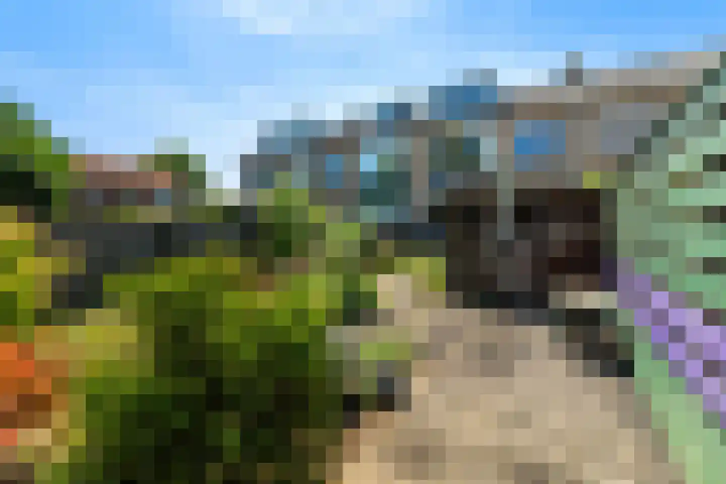 Jacob Catsstraat 6 Alphen aan den Rijn thumbnail 33