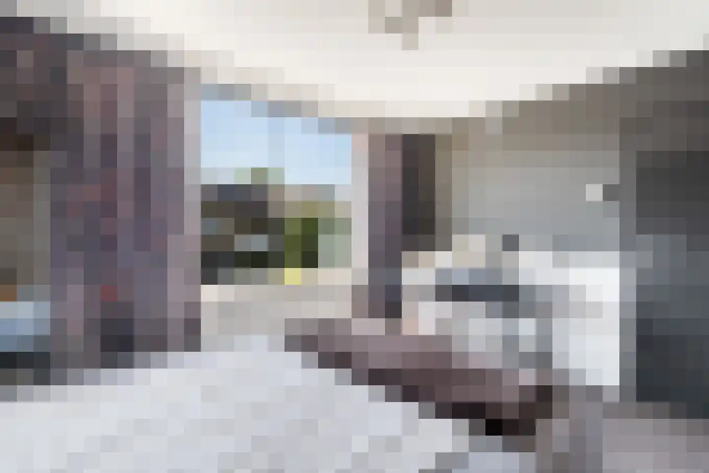 Jacob Catsstraat 6 Alphen aan den Rijn thumbnail 43