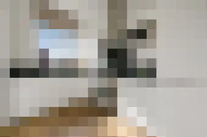 Jacob Catsstraat 6 Den Haag thumbnail 12