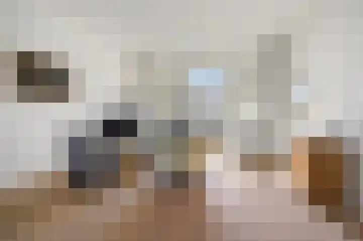 Jacob Catsstraat 6 Den Haag thumbnail 7