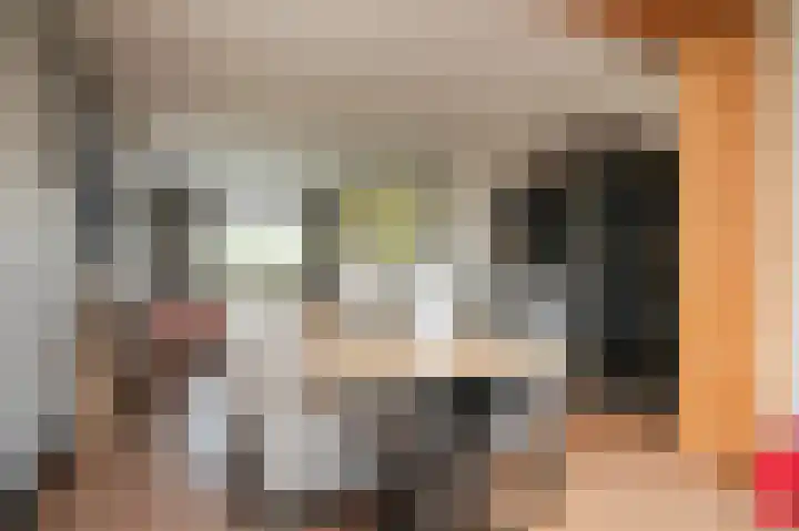 Jacob Catsstraat 6 Kesteren thumbnail 10