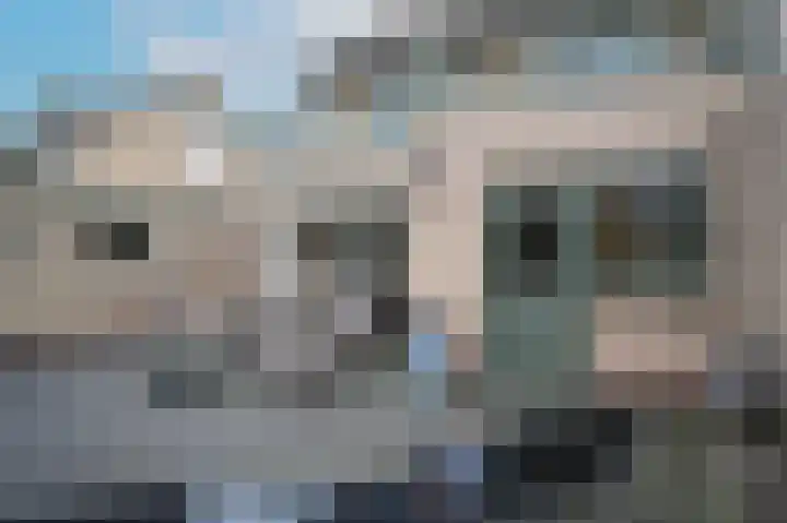 Jacob Catsstraat 6 Kesteren thumbnail 31