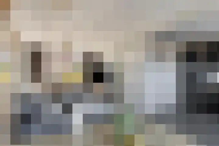 Jacob Catsstraat 6 Lichtenvoorde thumbnail 14
