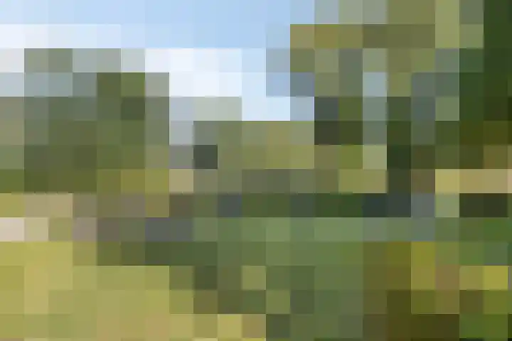 Jacob Catsstraat 6 Lichtenvoorde thumbnail 40