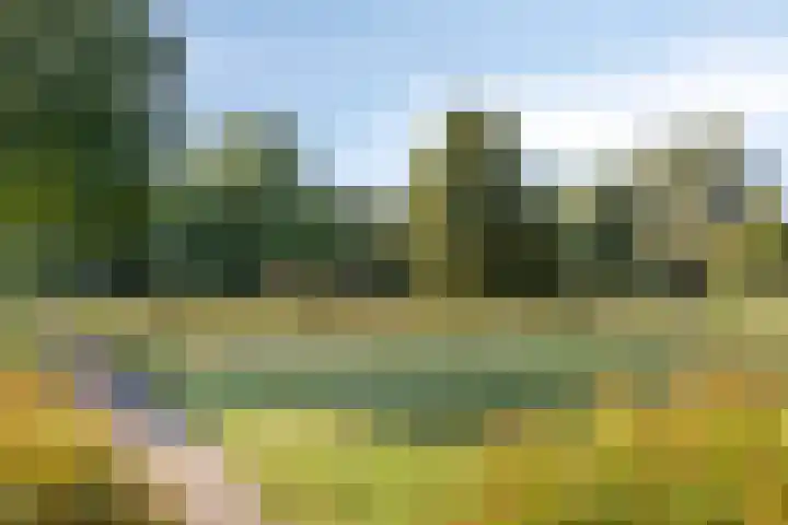 Jacob Catsstraat 6 Lichtenvoorde thumbnail 41