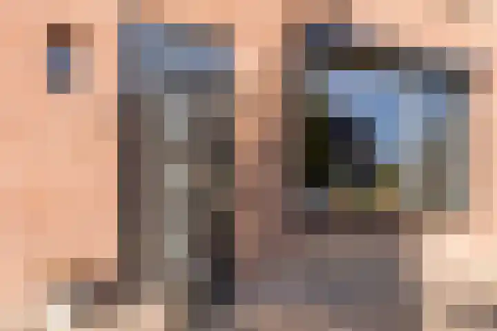Jacob Catsstraat 6 Lichtenvoorde thumbnail 6
